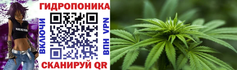 магазин продажи   Лесозаводск  Бошки марихуана LSD WEED 